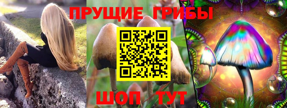 Галлюциногенные грибы Psilocybine cubensis Усть-Илимск